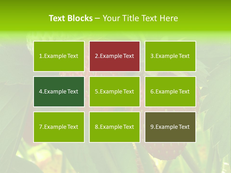 Ripening Strawberry Fruits On The Branch PowerPoint Template