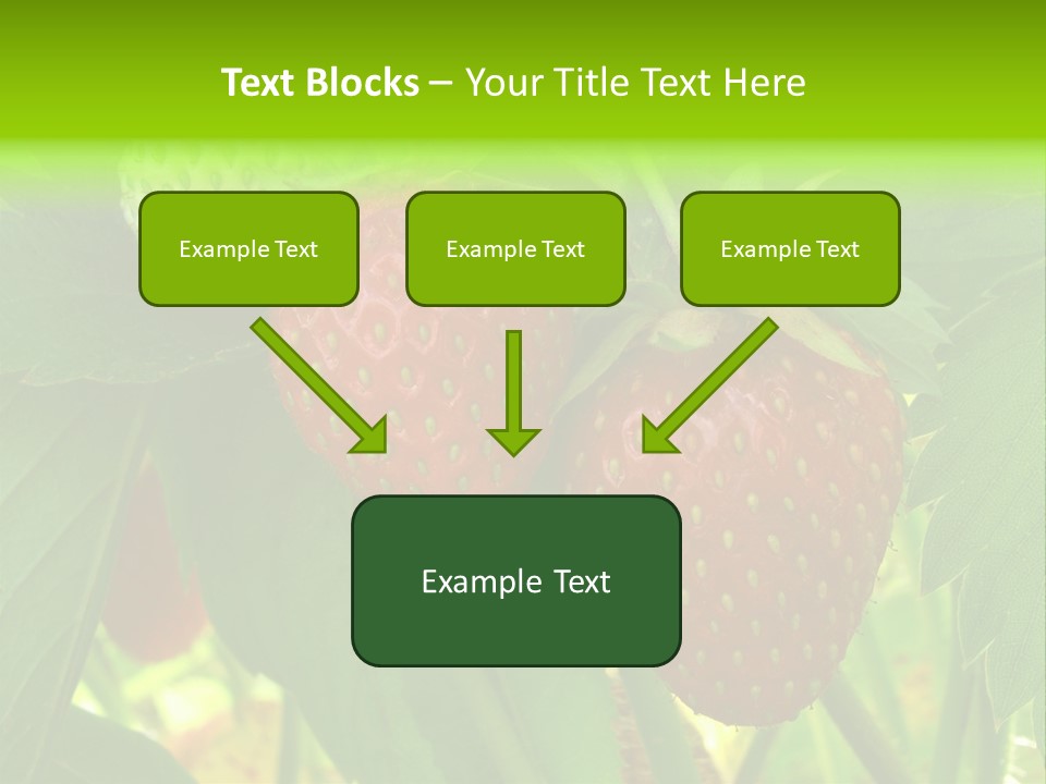 Ripening Strawberry Fruits On The Branch PowerPoint Template