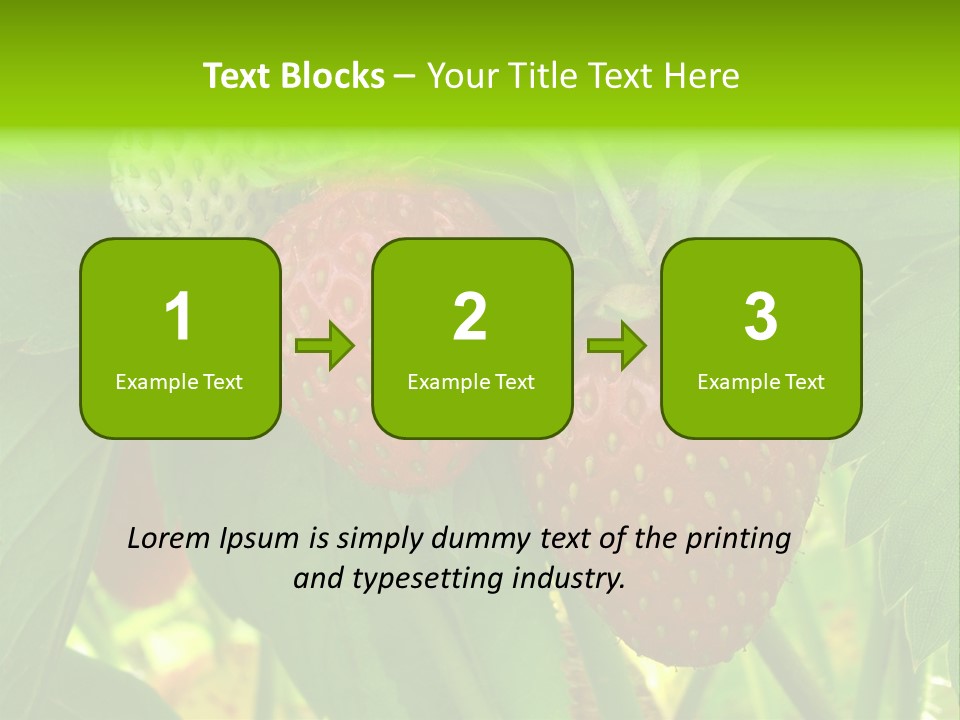 Ripening Strawberry Fruits On The Branch PowerPoint Template