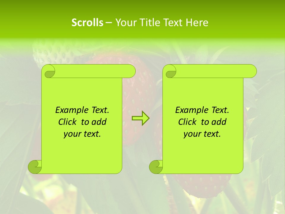 Ripening Strawberry Fruits On The Branch PowerPoint Template