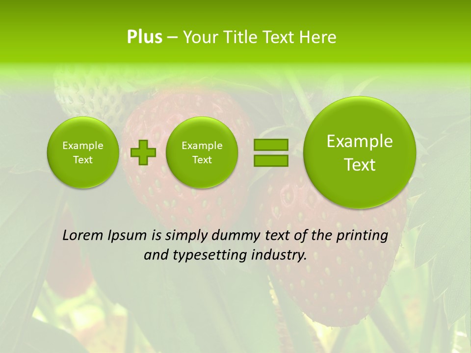 Ripening Strawberry Fruits On The Branch PowerPoint Template