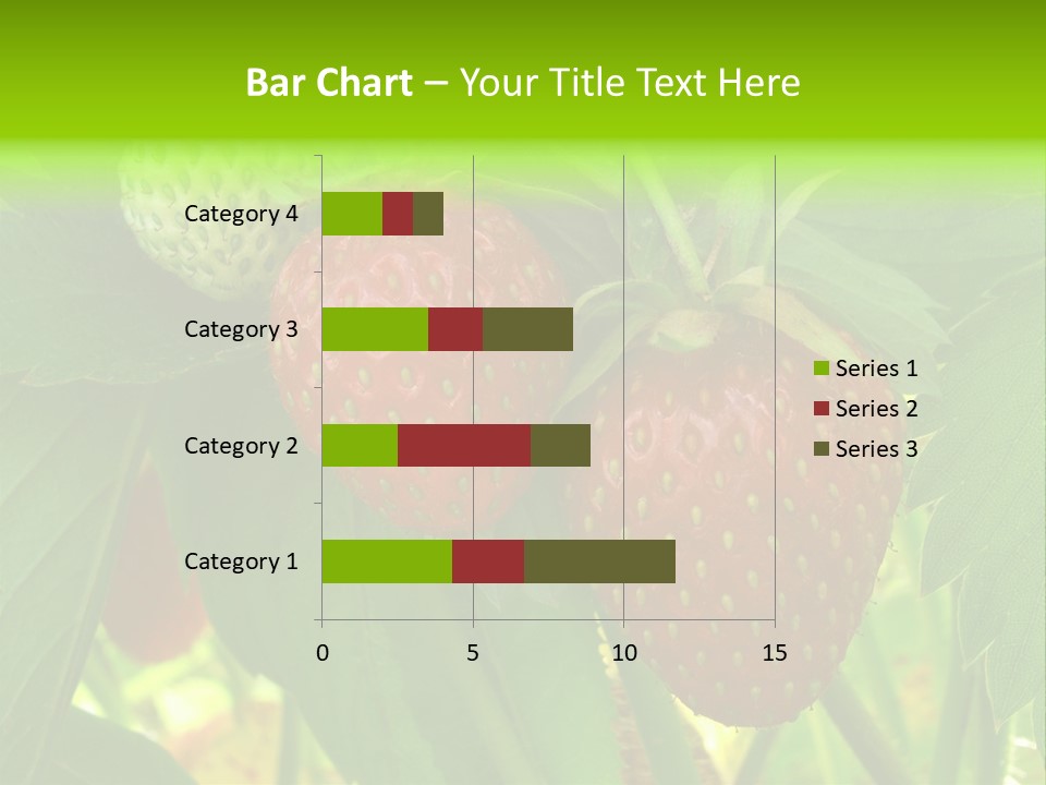 Ripening Strawberry Fruits On The Branch PowerPoint Template