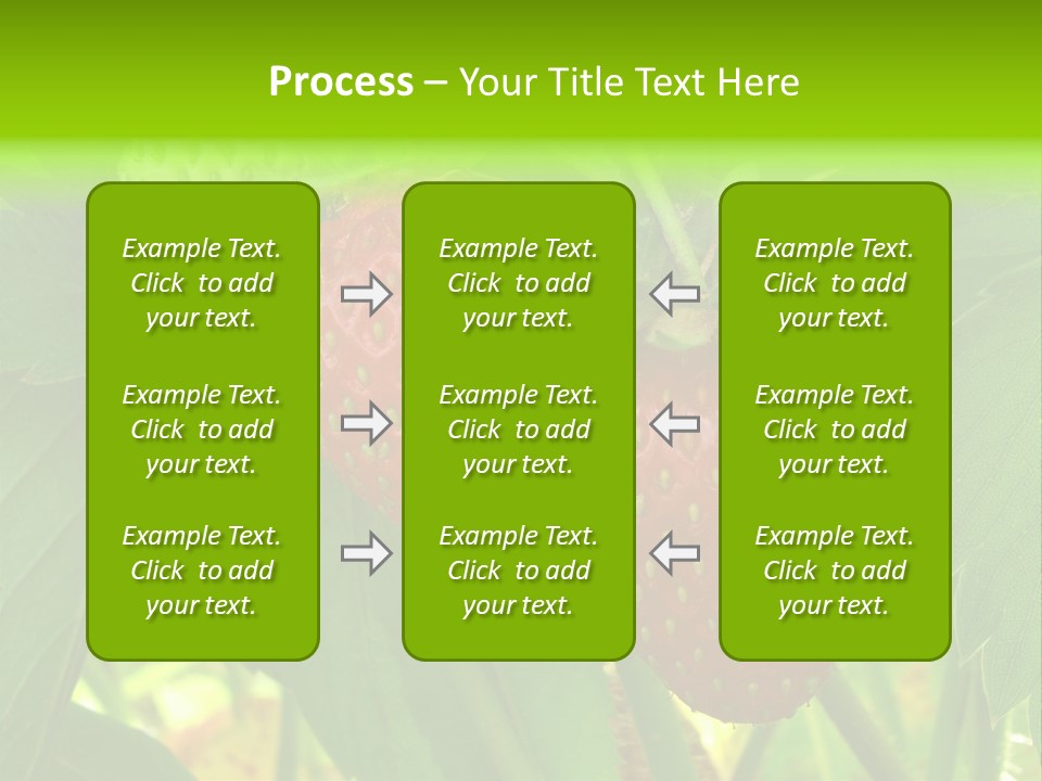 Ripening Strawberry Fruits On The Branch PowerPoint Template