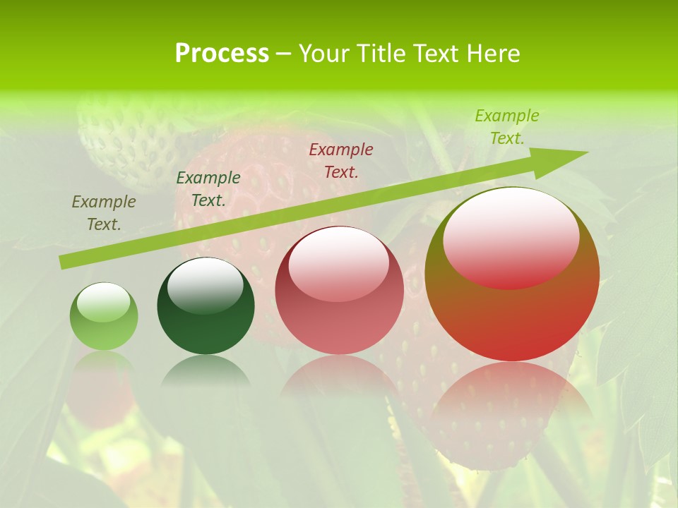 Ripening Strawberry Fruits On The Branch PowerPoint Template