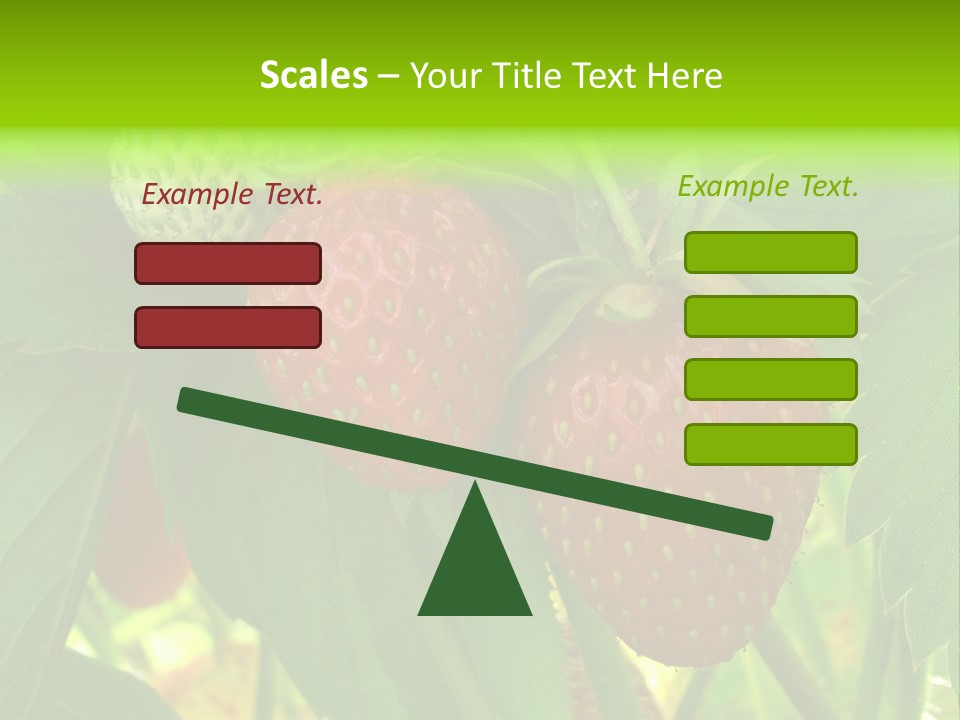 Ripening Strawberry Fruits On The Branch PowerPoint Template