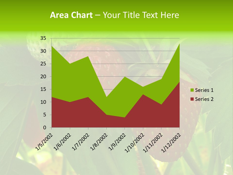 Ripening Strawberry Fruits On The Branch PowerPoint Template