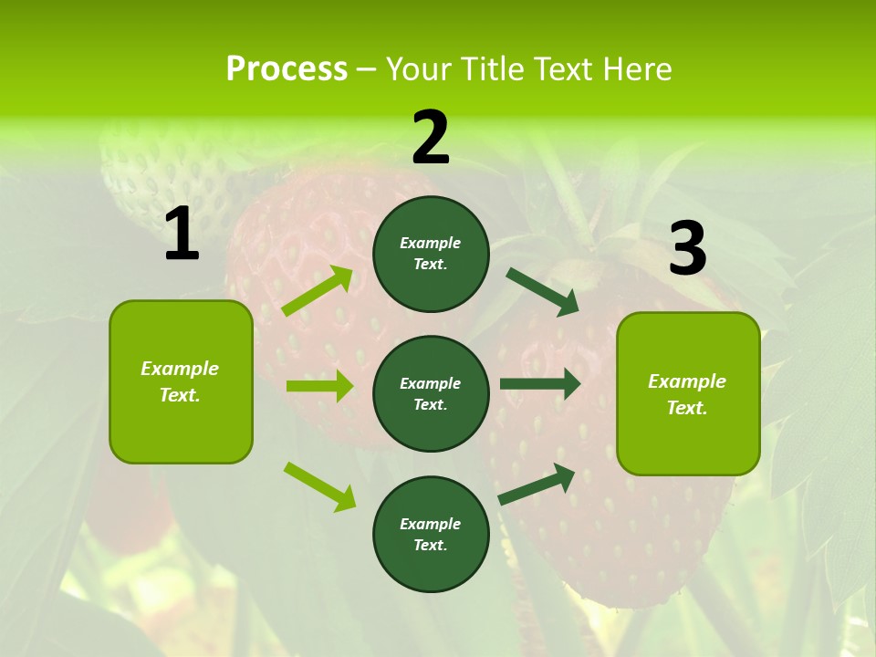 Ripening Strawberry Fruits On The Branch PowerPoint Template