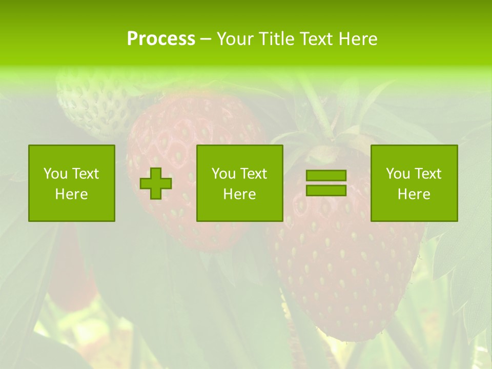 Ripening Strawberry Fruits On The Branch PowerPoint Template