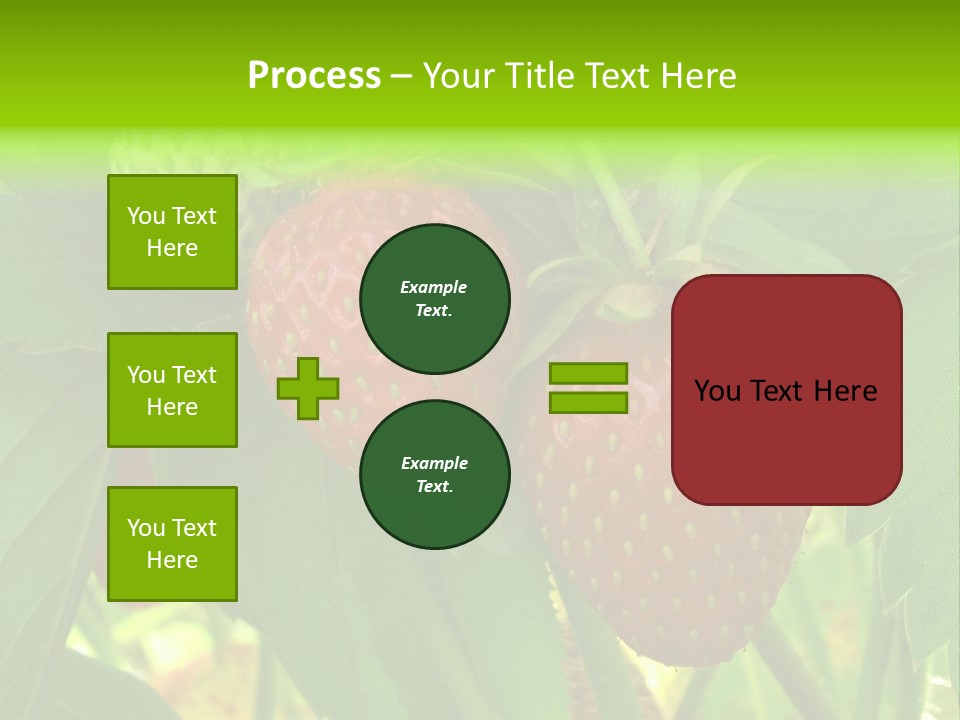 Ripening Strawberry Fruits On The Branch PowerPoint Template