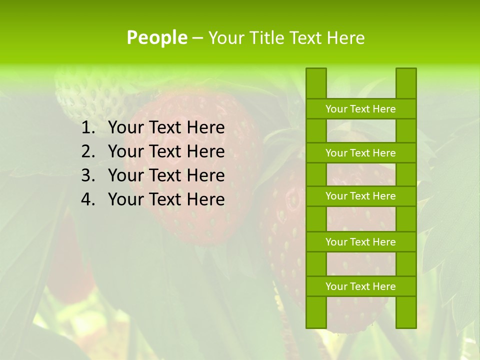 Ripening Strawberry Fruits On The Branch PowerPoint Template