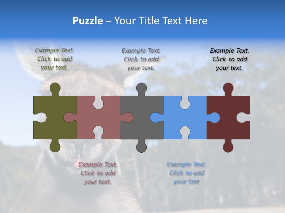 Close Up Of Inquisitive Kangaroo Poking His Tongue Out PowerPoint Template