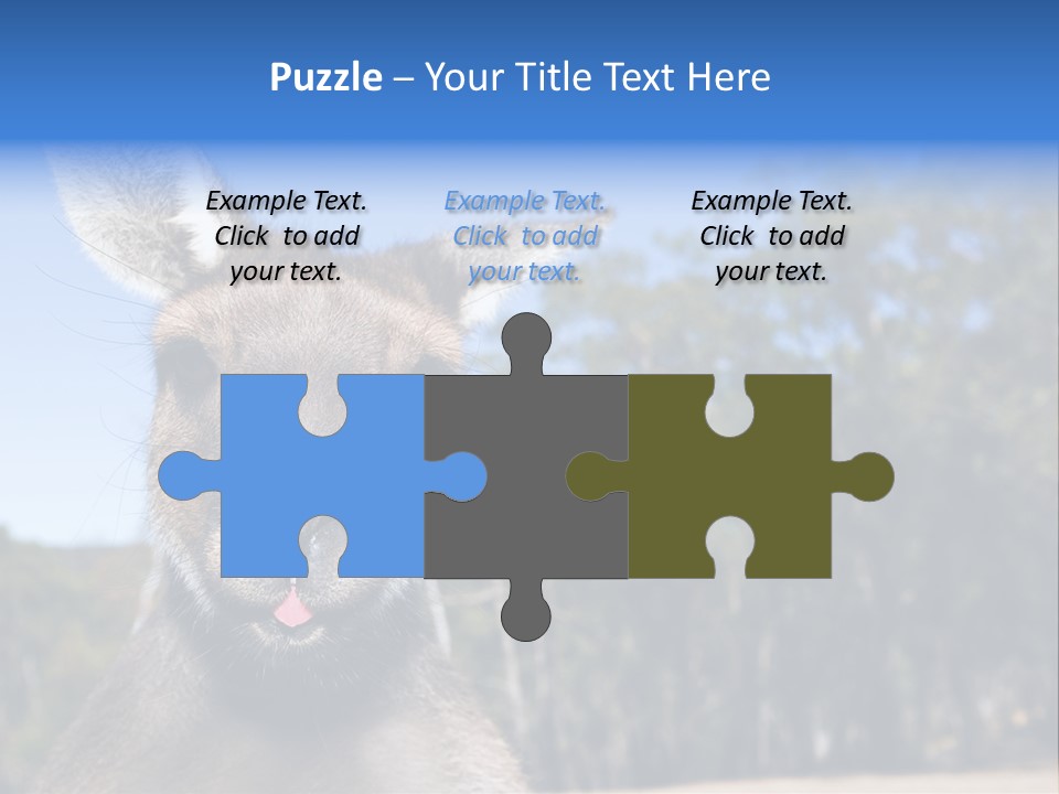 Close Up Of Inquisitive Kangaroo Poking His Tongue Out PowerPoint Template