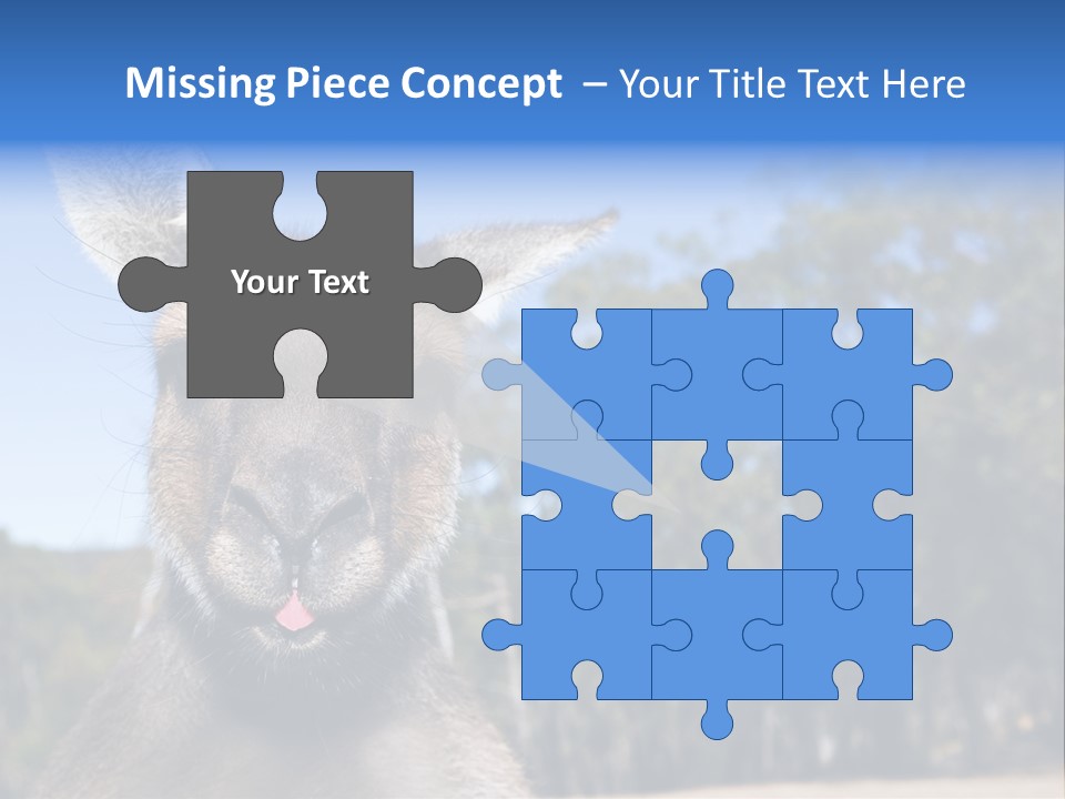 Close Up Of Inquisitive Kangaroo Poking His Tongue Out PowerPoint Template