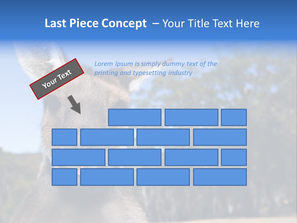 Close Up Of Inquisitive Kangaroo Poking His Tongue Out PowerPoint Template