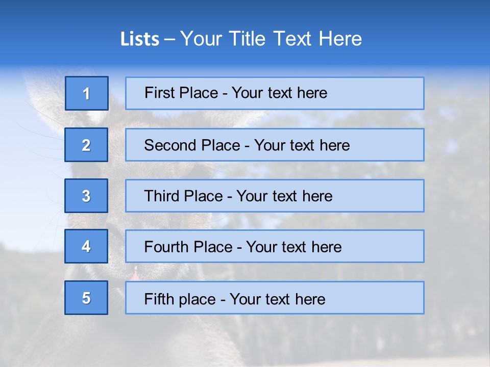 Close Up Of Inquisitive Kangaroo Poking His Tongue Out PowerPoint Template