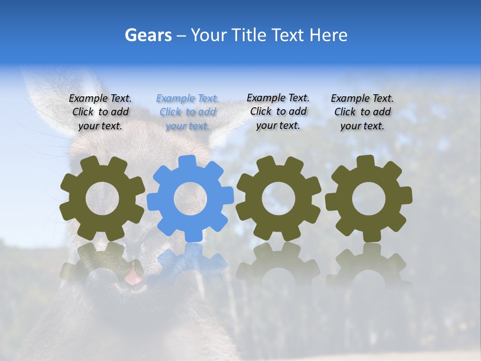 Close Up Of Inquisitive Kangaroo Poking His Tongue Out PowerPoint Template