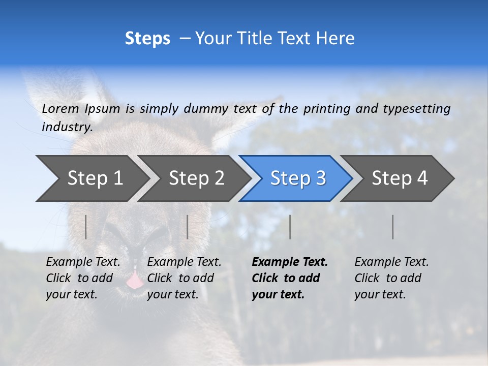 Close Up Of Inquisitive Kangaroo Poking His Tongue Out PowerPoint Template