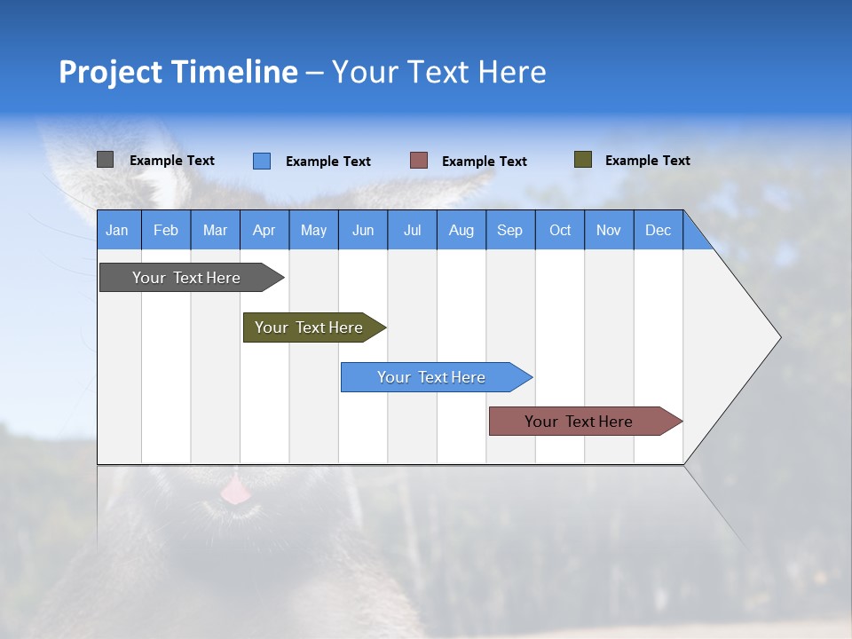 Close Up Of Inquisitive Kangaroo Poking His Tongue Out PowerPoint Template