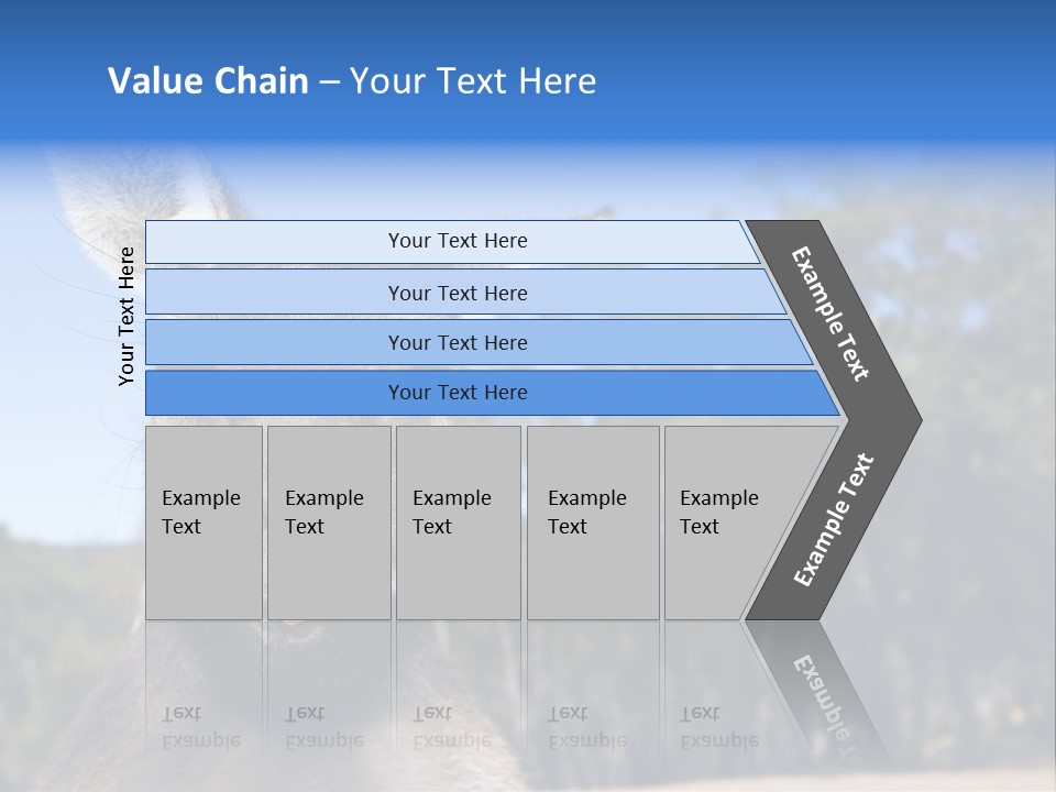 Close Up Of Inquisitive Kangaroo Poking His Tongue Out PowerPoint Template