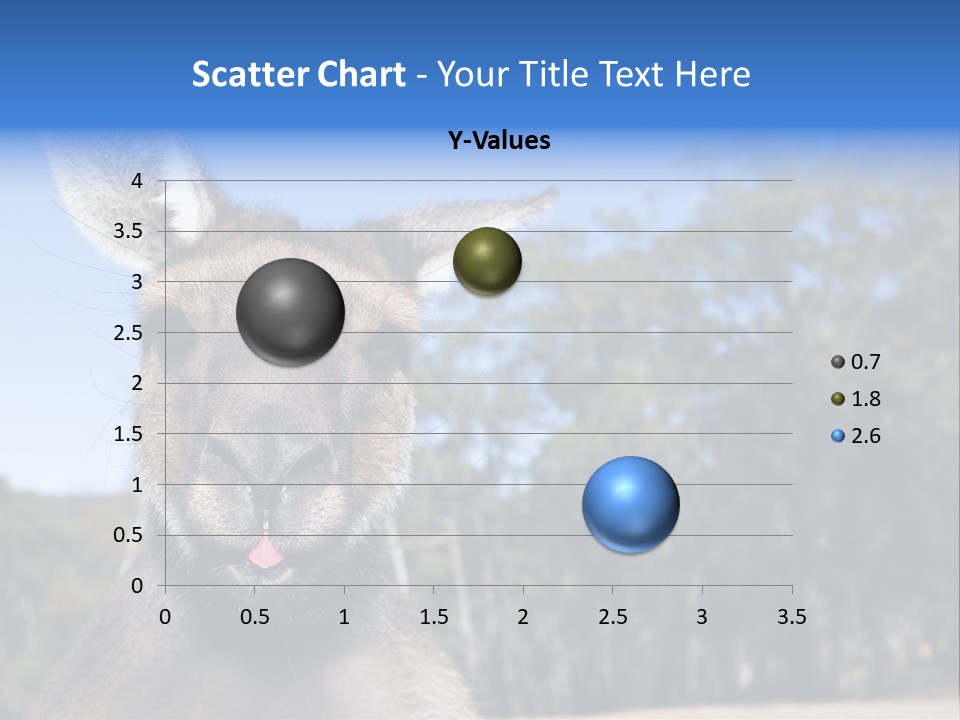 Close Up Of Inquisitive Kangaroo Poking His Tongue Out PowerPoint Template