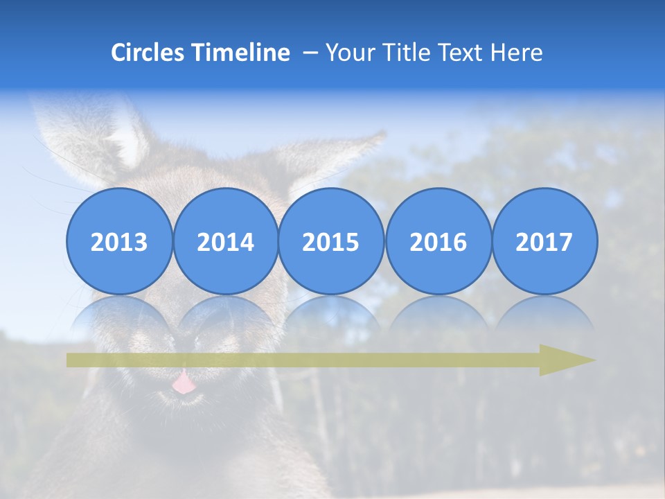 Close Up Of Inquisitive Kangaroo Poking His Tongue Out PowerPoint Template