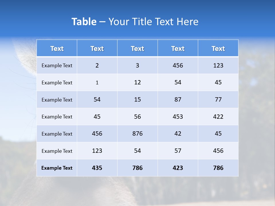 Close Up Of Inquisitive Kangaroo Poking His Tongue Out PowerPoint Template