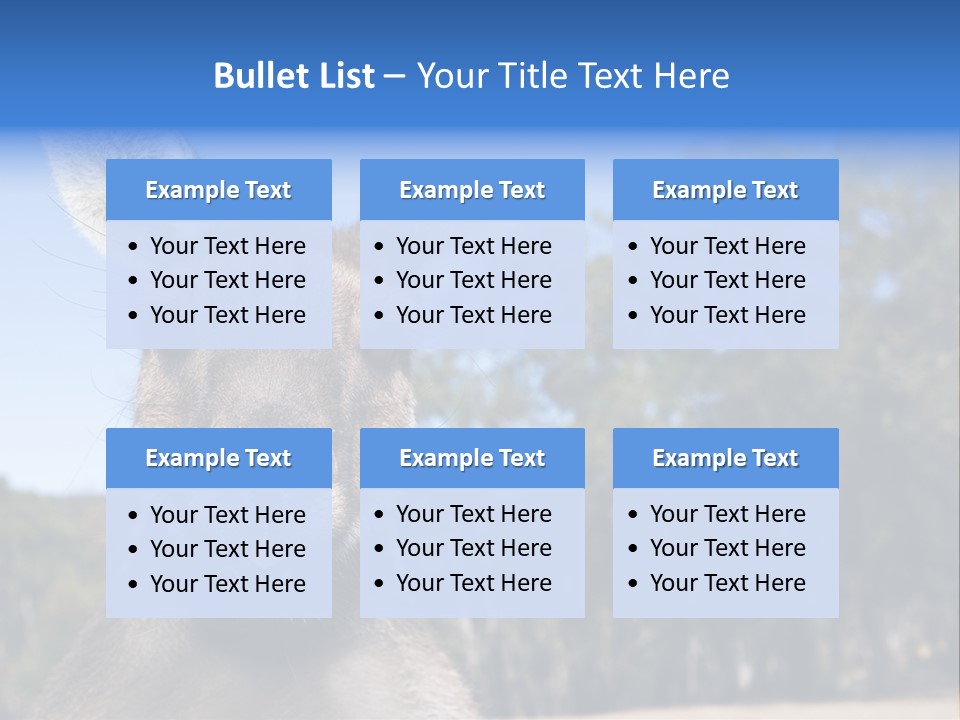 Close Up Of Inquisitive Kangaroo Poking His Tongue Out PowerPoint Template