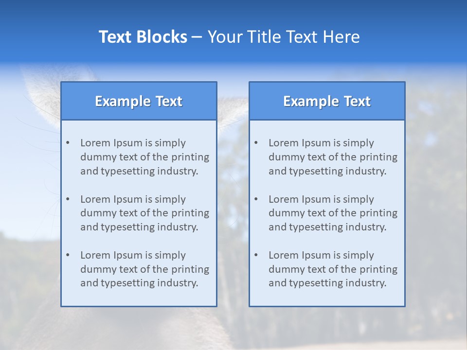 Close Up Of Inquisitive Kangaroo Poking His Tongue Out PowerPoint Template