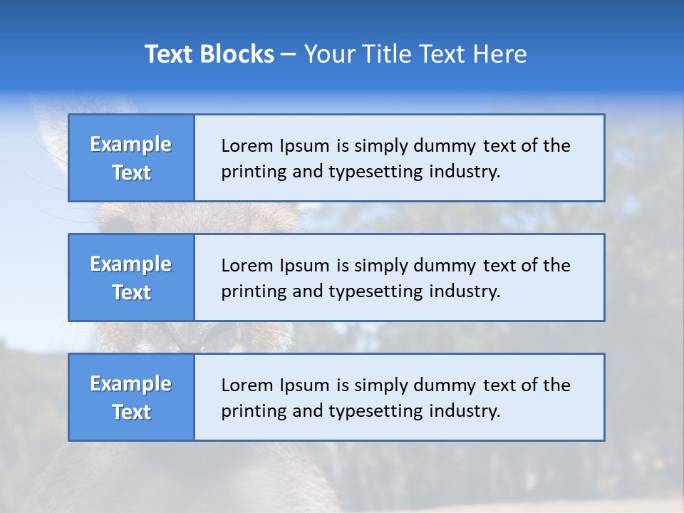 Close Up Of Inquisitive Kangaroo Poking His Tongue Out PowerPoint Template