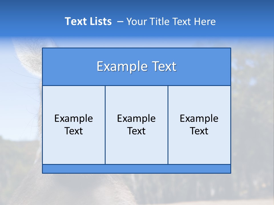 Close Up Of Inquisitive Kangaroo Poking His Tongue Out PowerPoint Template