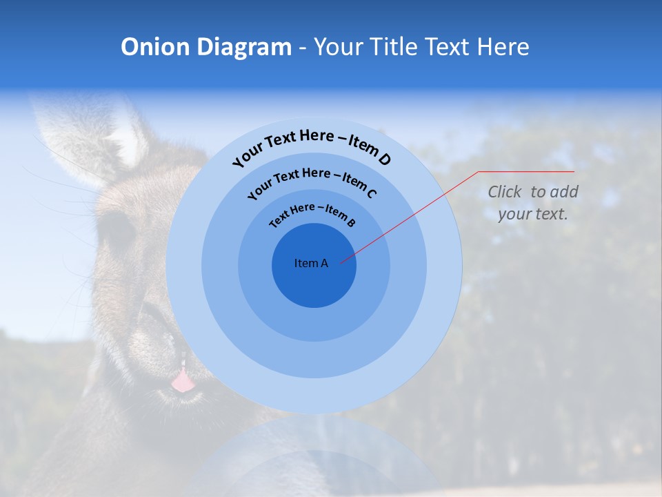 Close Up Of Inquisitive Kangaroo Poking His Tongue Out PowerPoint Template