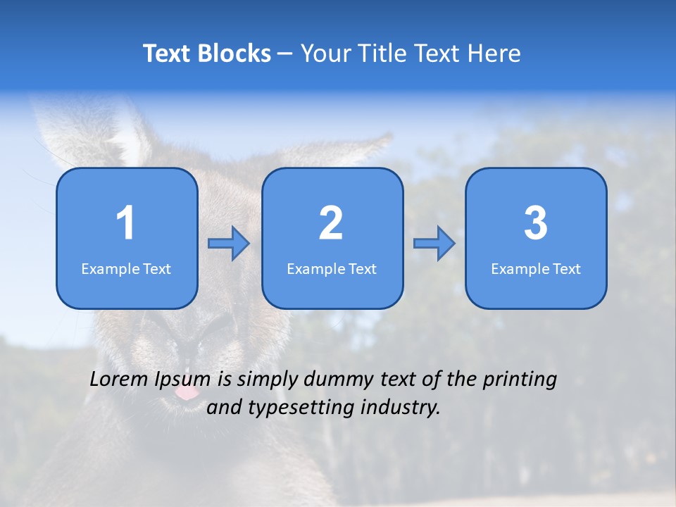 Close Up Of Inquisitive Kangaroo Poking His Tongue Out PowerPoint Template