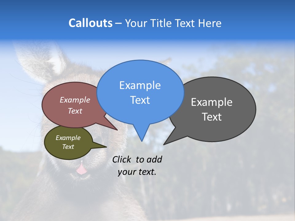 Close Up Of Inquisitive Kangaroo Poking His Tongue Out PowerPoint Template