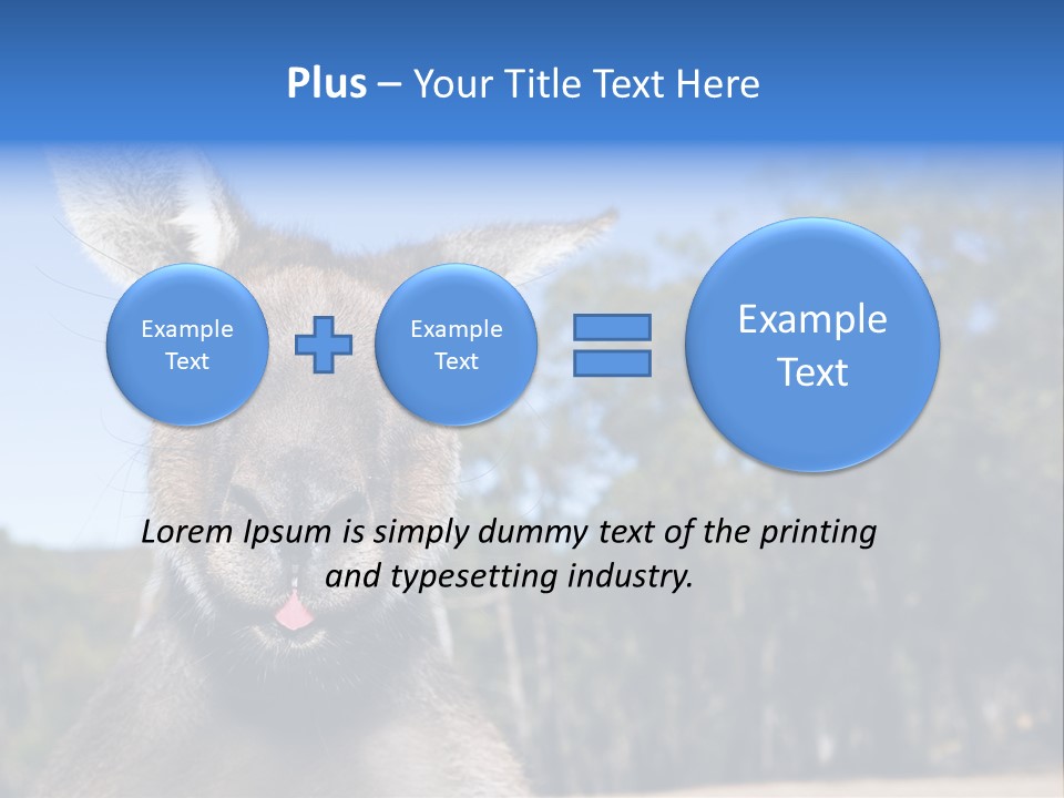 Close Up Of Inquisitive Kangaroo Poking His Tongue Out PowerPoint Template