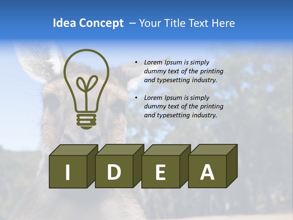 Close Up Of Inquisitive Kangaroo Poking His Tongue Out PowerPoint Template