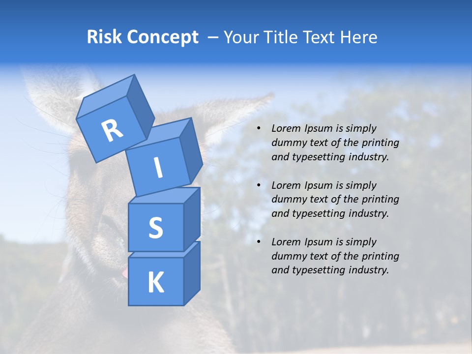 Close Up Of Inquisitive Kangaroo Poking His Tongue Out PowerPoint Template