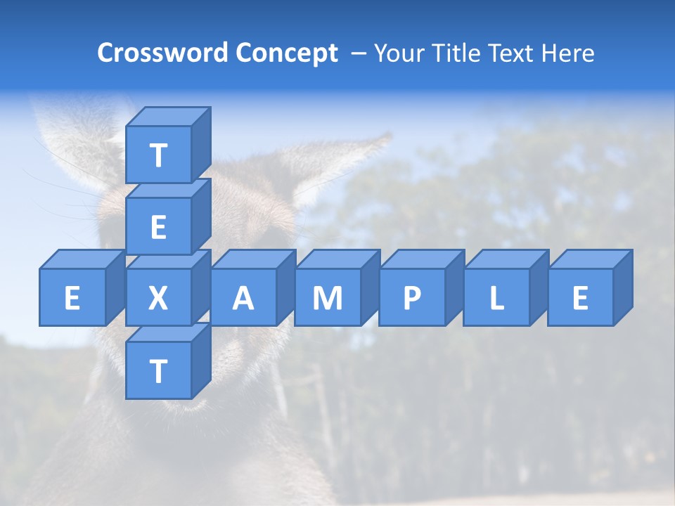 Close Up Of Inquisitive Kangaroo Poking His Tongue Out PowerPoint Template