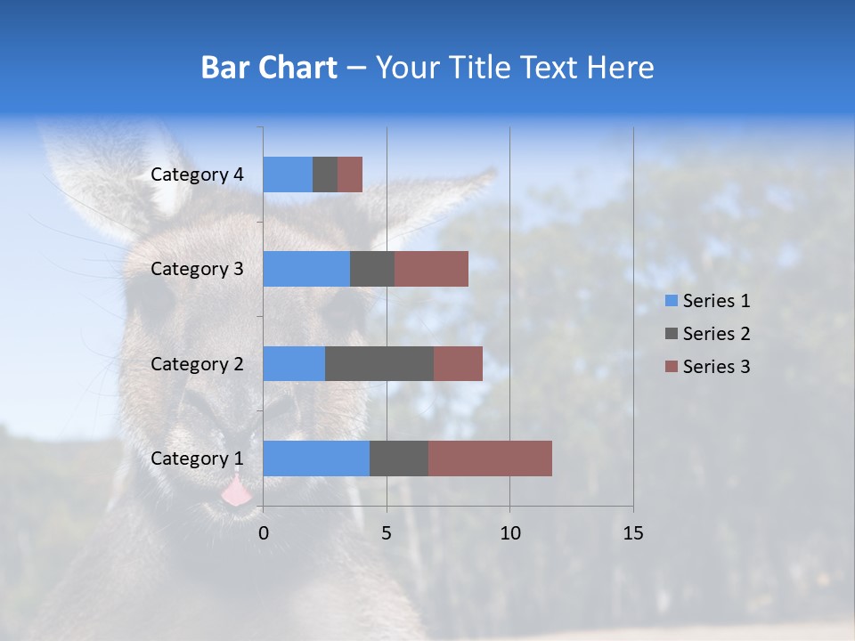 Close Up Of Inquisitive Kangaroo Poking His Tongue Out PowerPoint Template