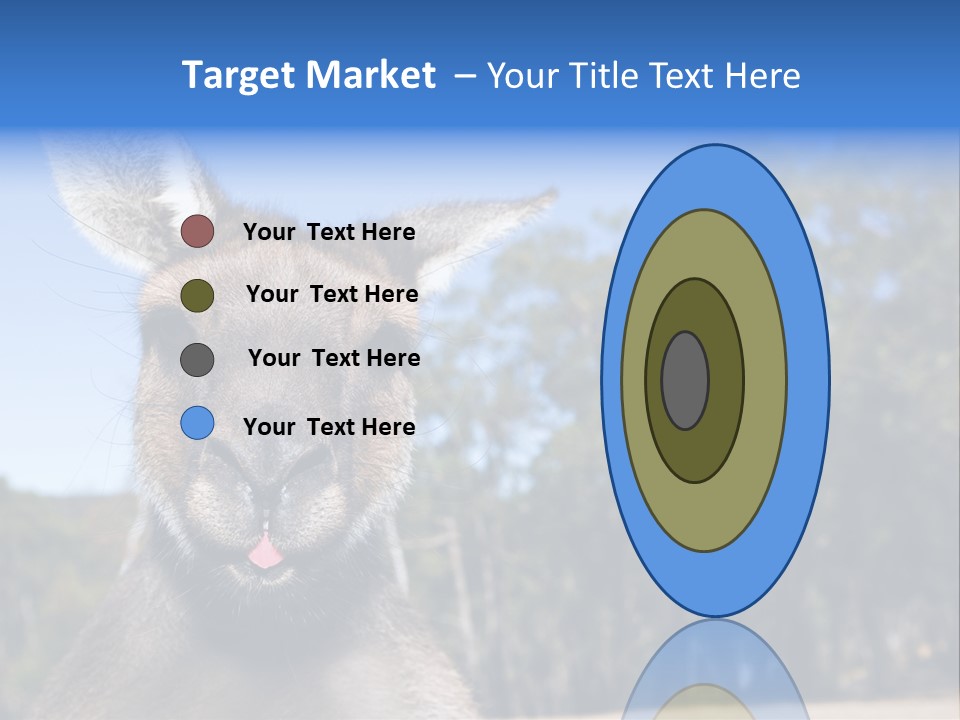 Close Up Of Inquisitive Kangaroo Poking His Tongue Out PowerPoint Template