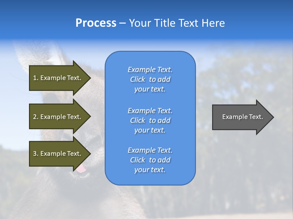 Close Up Of Inquisitive Kangaroo Poking His Tongue Out PowerPoint Template