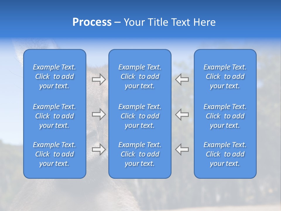Close Up Of Inquisitive Kangaroo Poking His Tongue Out PowerPoint Template