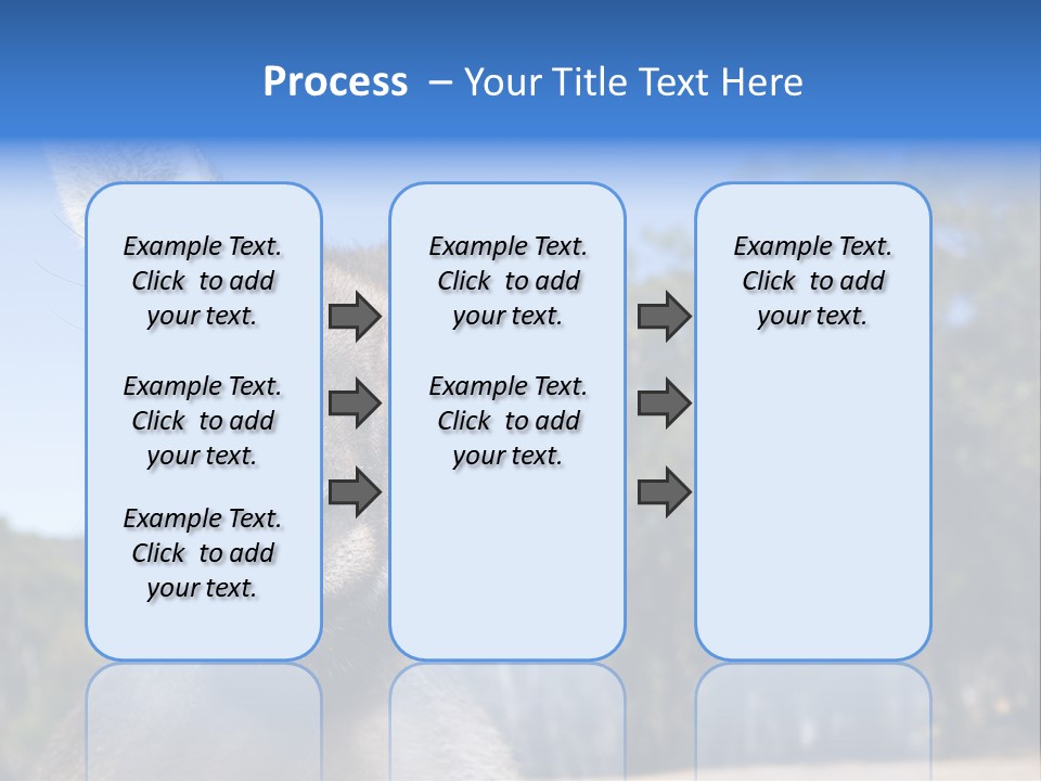 Close Up Of Inquisitive Kangaroo Poking His Tongue Out PowerPoint Template