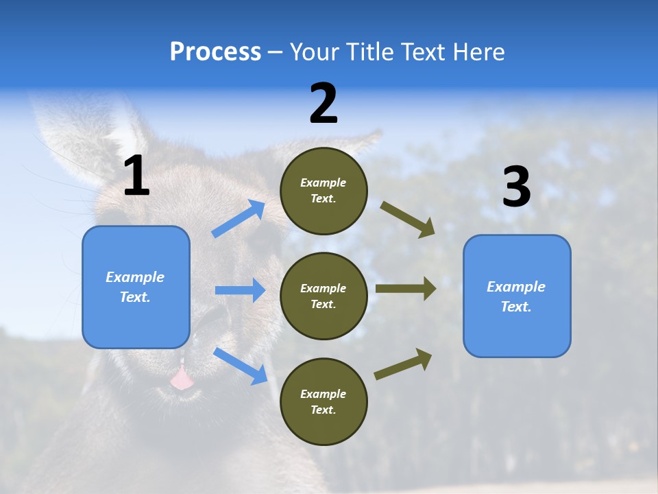 Close Up Of Inquisitive Kangaroo Poking His Tongue Out PowerPoint Template