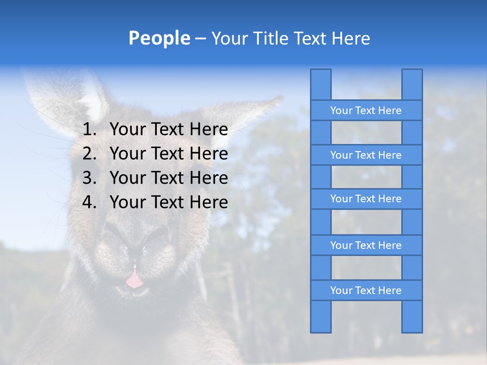 Close Up Of Inquisitive Kangaroo Poking His Tongue Out PowerPoint Template