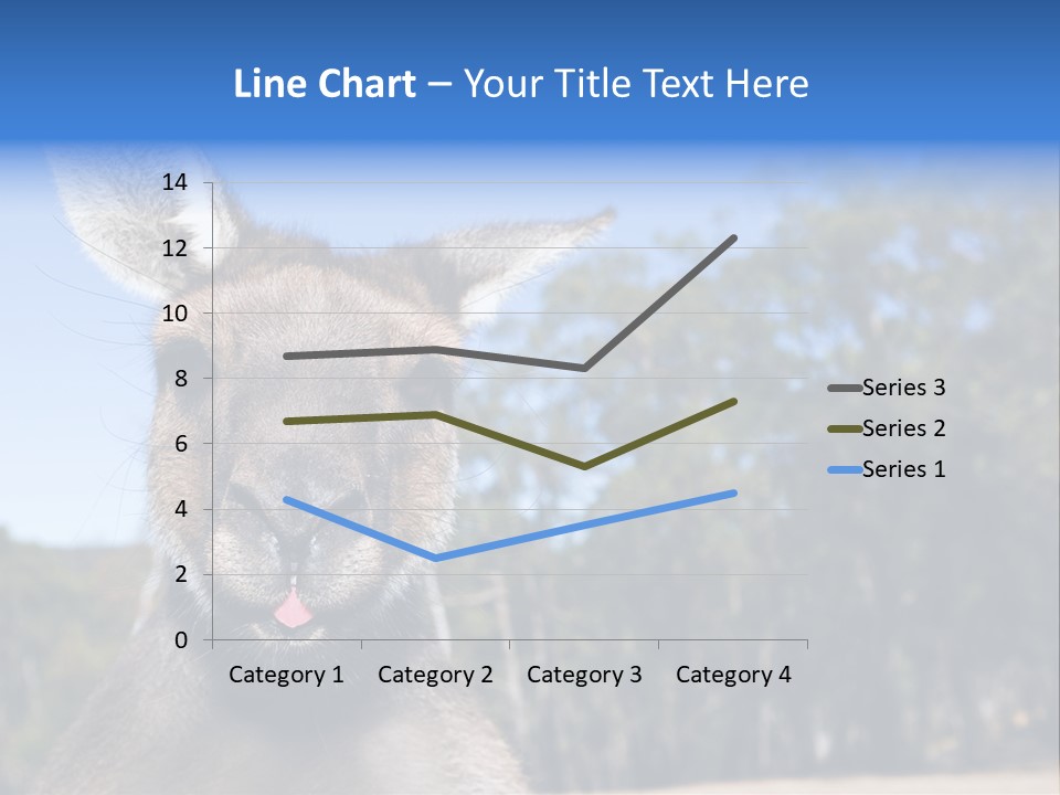 Close Up Of Inquisitive Kangaroo Poking His Tongue Out PowerPoint Template