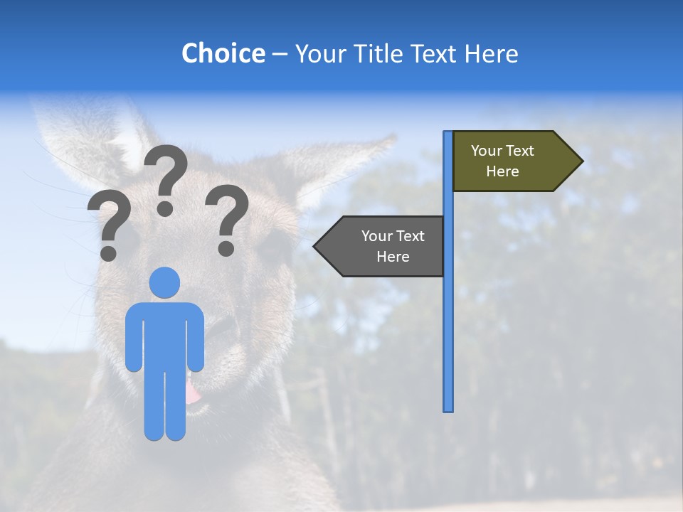 Close Up Of Inquisitive Kangaroo Poking His Tongue Out PowerPoint Template