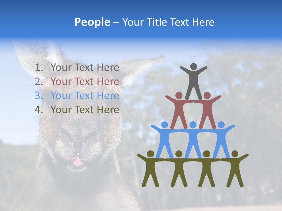 Close Up Of Inquisitive Kangaroo Poking His Tongue Out PowerPoint Template