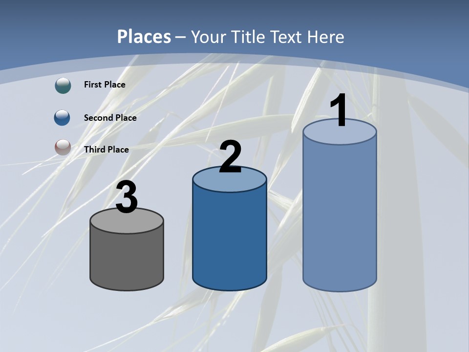 Oat Plant With Panicles PowerPoint Template