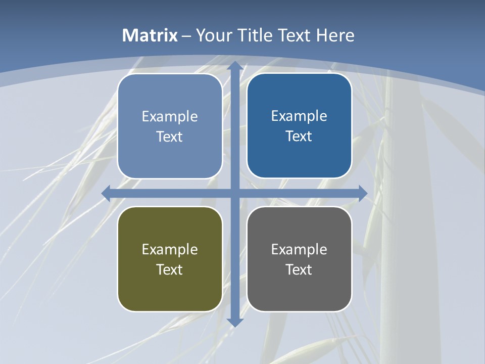 Oat Plant With Panicles PowerPoint Template