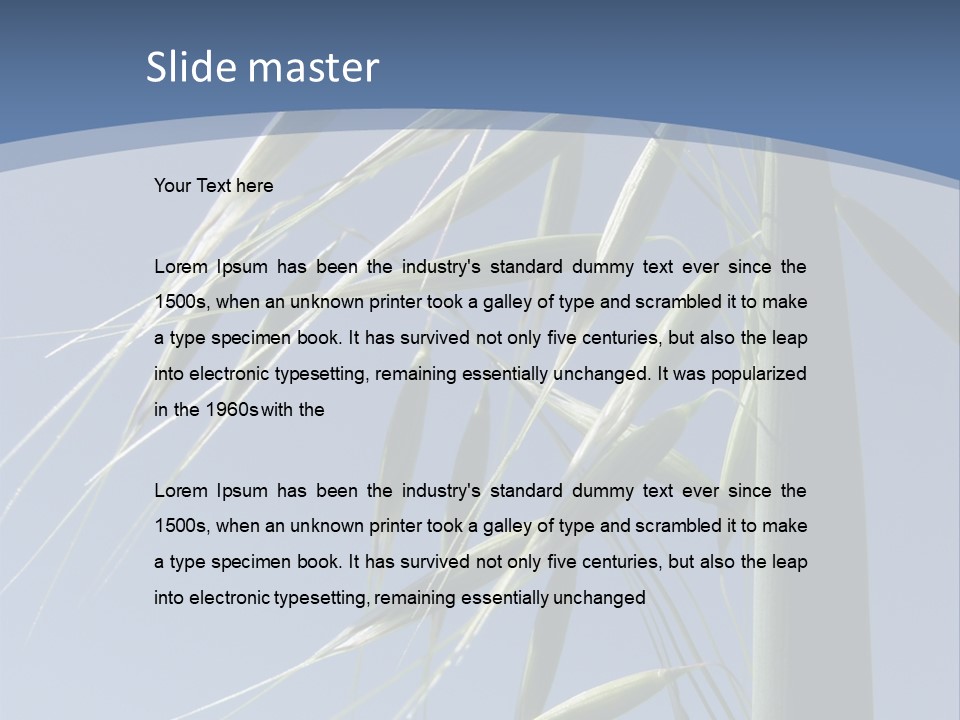 Oat Plant With Panicles PowerPoint Template